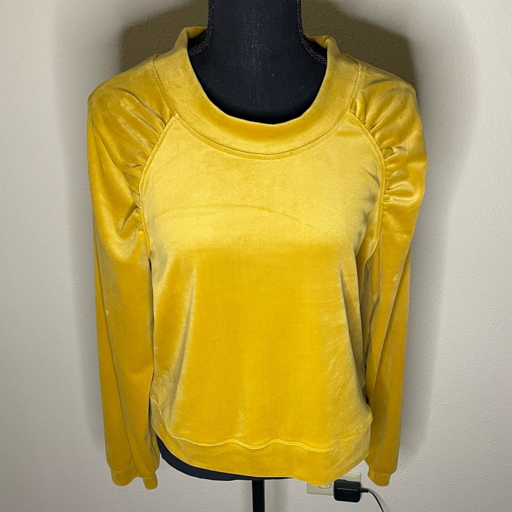 [Anthropologie] Saturday Sunday Merida Velvet Sweatshirt